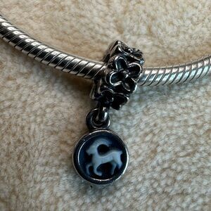 Pandora Capricorn ♑️ Rare! ALE 925 Retired #790500CAM01